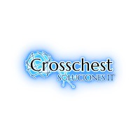 Crosschest Telecom logo - Similar company to Sicoms