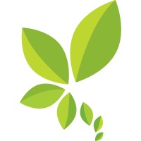 Maoni Consulting Ltd logo - Similar company to Challenge Training And Consultancy Limited T/A Challenge Consulting