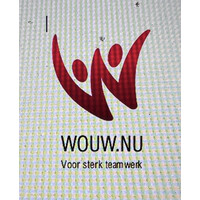 WOUW.NU logo - Similar company to Tessadevries.Com