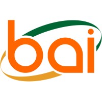 PT Borneo Alumina Indonesia logo - Similar company to Mekko Graphics