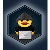 Student Organization for Cybersecurity logo - Similar company to Space Engineering And Acquisition Systems, Inc.