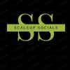 Scale up socials logo - Similar company to 🌴 Hawaii Communication
