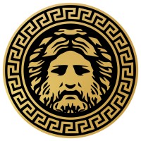 ZEUS HAİR TRANSPLANT logo - Similar company to Medousa Clinique