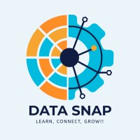 DataSnap logo - Similar company to Datasnap