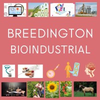 bioindustrial.net logo - Similar company to Bengani Group