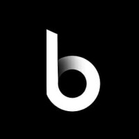 Ballin logo - Similar company to Cochamps