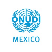 ONUDI - México y Centroamérica logo - Similar company to Onudi Cono Sur