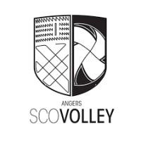 SCO Angers Volleyball logo - Similar company to Dapo