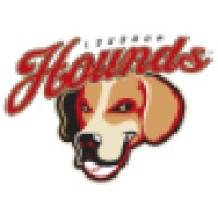 Loudoun Hounds