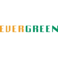 Evergreen Fibreboard Bhd (Evf)