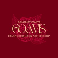 GOAVIS ECOMMERCE logo - Similar company to Putull