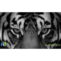 V.I.T. GmbH logo - Similar company to Herzkopfathlet