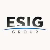 ESIG Group logo - Similar company to Activesoft