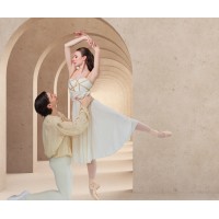 Ballet Arkansas logo - Similar company to The Ballet Scout
