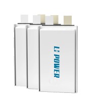 FOSHAN LIPOWER BATTERY CO.,LTD logo - Similar company to Defnocopower