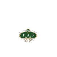 Sarl PAG logo - Similar company to Societe Import Export