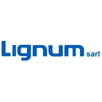 Lignum-sarl logo - Similar company to Aetos Mfo