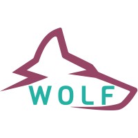 Wolf Electric Solution SRL logo - Similar company to Seei Technology