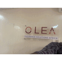 OLEA Niger logo - Similar company to Caren Assurances