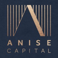 Anise Capital logo - Similar company to Effective Capital