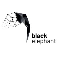 Black Elephant logo - Similar company to Giant Analytics