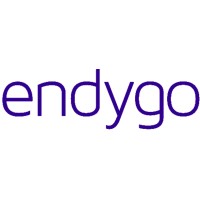 endygo logo - Similar company to Mozaic Consulting