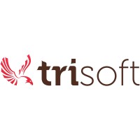TRISOFT logo - Similar company to Trisoft Limited
