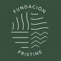 Fundación Pristine logo - Similar company to Maison Fenestraz