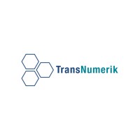 TransNumerik logo - Similar company to Yulcom Technologies