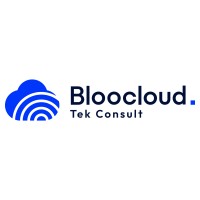 Bloo Cloud Tek Consult logo - Similar company to Codeware