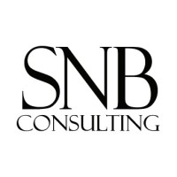 SNB Consulting logo - Similar company to S & B Consulting Group