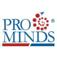 ProMinds Global Solutions Pvt. Ltd. logo - Similar company to Gradient - Ssn Design Club