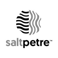 SALTPETRE (/sɔːltˈpiːtə/) logo - Similar company to Tina Eapen Design Studio