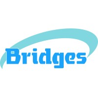 Bridges - Trusted Intelligent Engineering Partner logo - Similar company to Z-Tech Control Systems Ltd