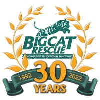 Big Cat Rescue logo - Similar company to Boos Development Group, Inc.