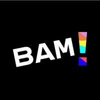 BAMMEDIA logo - Similar company to Rdp Communications