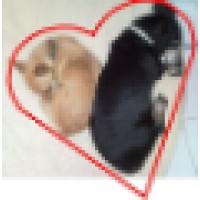 Creditview Animal & Bird Hospital