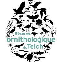 Réserve ornithologique du Teich logo - Similar company to Réserve Naturelle Nationale De La Forêt De La Massane