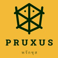 PRUXUS logo - Similar company to Ux Consult