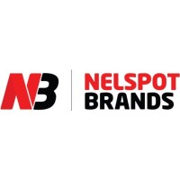 NELSPOT BRANDS PVT LTD logo - Similar company to Express Financial Services