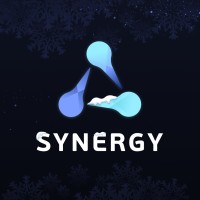 SYNERGY PARTNERS PLATFORM logo - Similar company to Infinitas Group