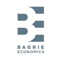 Bagrie Economics logo - Similar company to Rob Greenaway & Associates