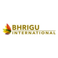 Bhrigu International logo - Similar company to Esha Apparels