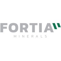 Grupo Fortia logo - Similar company to Grupo Coquecol