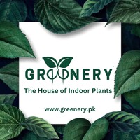 Greenery logo - Similar company to Evolution Designers Pk