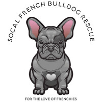 SoCal French Bulldog Rescue logo - Similar company to Gender Non-Binary + Gender Inclusive Language Training