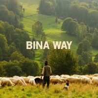 BINAWAY logo - Similar company to Mediaquart'