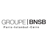 Groupe BNSB logo - Similar company to Tanmer Group