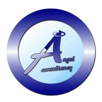 Angel Consult@ncy logo - Similar company to Skillscaler Learning Solutions