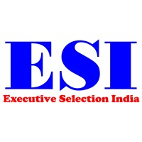 Executive Selection India logo - Similar company to Witlink Consultancy Services Private Limited